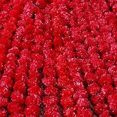 4.5 feet marigold for sale  Delivered anywhere in UK