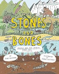 Stones bones fossils for sale  Delivered anywhere in UK