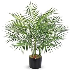 Kunstpflanze areka palme gebraucht kaufen  Wird an jeden Ort in Deutschland