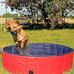 Lionto piscine chien d'occasion  Livré partout en France