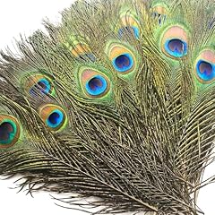 Piokio pcs peacock for sale  Delivered anywhere in USA 