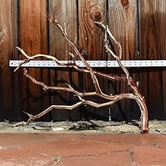 Manzanita driftwood 24 for sale  Delivered anywhere in USA 