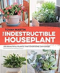 Indestructible houseplant 200 for sale  Delivered anywhere in USA 