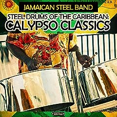 Steel drums caribbean for sale  Delivered anywhere in USA 