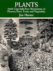 Plants 400 royalty for sale  Delivered anywhere in USA 