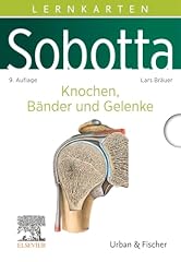 Sobotta lernkarten knochen gebraucht kaufen  Wird an jeden Ort in Deutschland