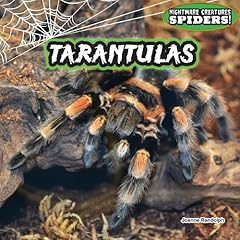 Tarantulas usato  Spedito ovunque in Italia 