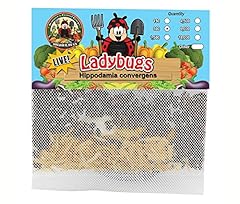 300 live ladybugs for sale  Delivered anywhere in USA 