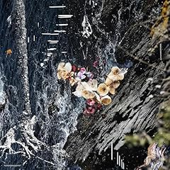 Montipora usato  Spedito ovunque in Italia 