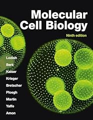Molecular cell biology usato  Spedito ovunque in Italia 