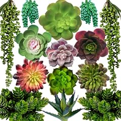 Decorous artificial succulents for sale  Delivered anywhere in USA 