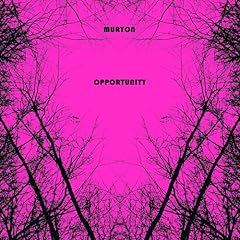 Opportunity for sale  Delivered anywhere in USA 