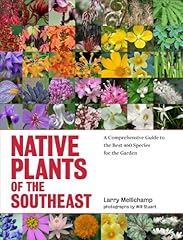 Native plants southeast for sale  Delivered anywhere in USA 