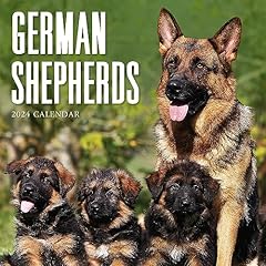 German shepherds 2024 for sale  Delivered anywhere in UK