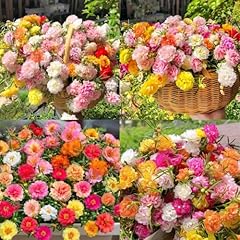 11000 mixed color for sale  Delivered anywhere in USA 