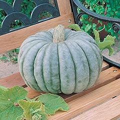 Park seed jarrahdale for sale  Delivered anywhere in USA 