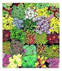 Baldur garten staudengarten gebraucht kaufen  Wird an jeden Ort in Deutschland