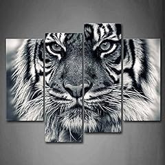 Black white tiger for sale  Delivered anywhere in USA 
