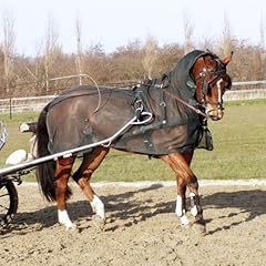 Brama west fahrfliegendecke gebraucht kaufen  Wird an jeden Ort in Deutschland