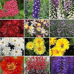 Perfect perennial collection for sale  Delivered anywhere in UK