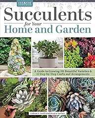 Succulents home garden for sale  Delivered anywhere in USA 