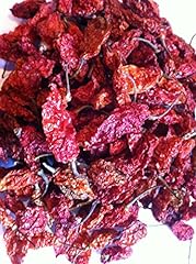 Ghost bhut jolokia for sale  Delivered anywhere in Ireland