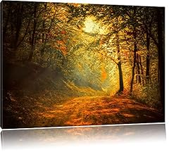 Forest canvas xxl for sale  Delivered anywhere in UK