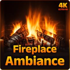 Fireplace ambiance free gebraucht kaufen  Wird an jeden Ort in Deutschland