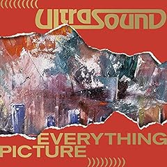 Everything picture for sale  Delivered anywhere in USA 