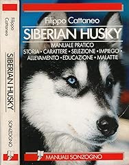 Siberian husky usato  Spedito ovunque in Italia 