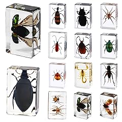 Ksvmoag pcs insect for sale  Delivered anywhere in UK