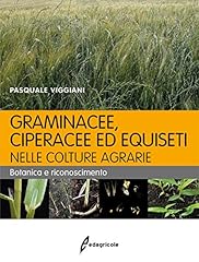 Graminacee ciperacee equiseti usato  Spedito ovunque in Italia 