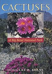 Cactuses big bend for sale  Delivered anywhere in USA 