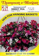 Sweet pea sugar for sale  Delivered anywhere in UK