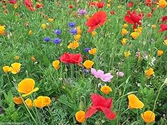 Mixed poppy meadow for sale  Delivered anywhere in UK