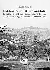 Carbone lignite acciaio. usato  Spedito ovunque in Italia 