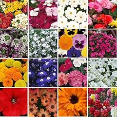 Perfect plants nurseryman for sale  Delivered anywhere in UK