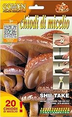 Micelio funghi shii usato  Spedito ovunque in Italia 