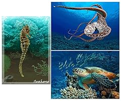 Sealife creatures seahorse for sale  Delivered anywhere in USA 