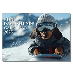 Fun dachshund calendar for sale  Delivered anywhere in UK