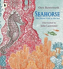 Seahorse shyest fish for sale  Delivered anywhere in UK