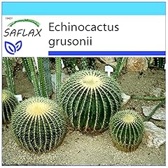 Saflax geschenk set gebraucht kaufen  Wird an jeden Ort in Deutschland