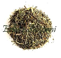Spirea ulmaria olmaria usato  Spedito ovunque in Italia 
