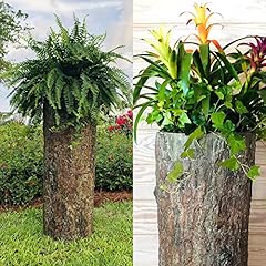 Bushy box large for sale  Delivered anywhere in USA 