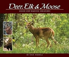 Deer elk moose for sale  Delivered anywhere in USA 