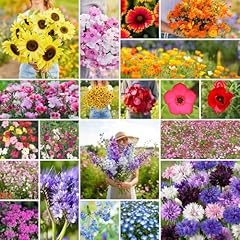 Eden brothers annual for sale  Delivered anywhere in USA 