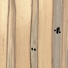 Ambrosia maple sq. for sale  Delivered anywhere in USA 