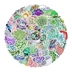 Various unique succulent for sale  Delivered anywhere in USA 