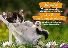 Gutsch verlag tier gebraucht kaufen  Wird an jeden Ort in Deutschland