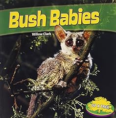 Bush babies for sale  Delivered anywhere in USA 